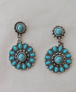 Load image into Gallery viewer, Tidepool Earrings
