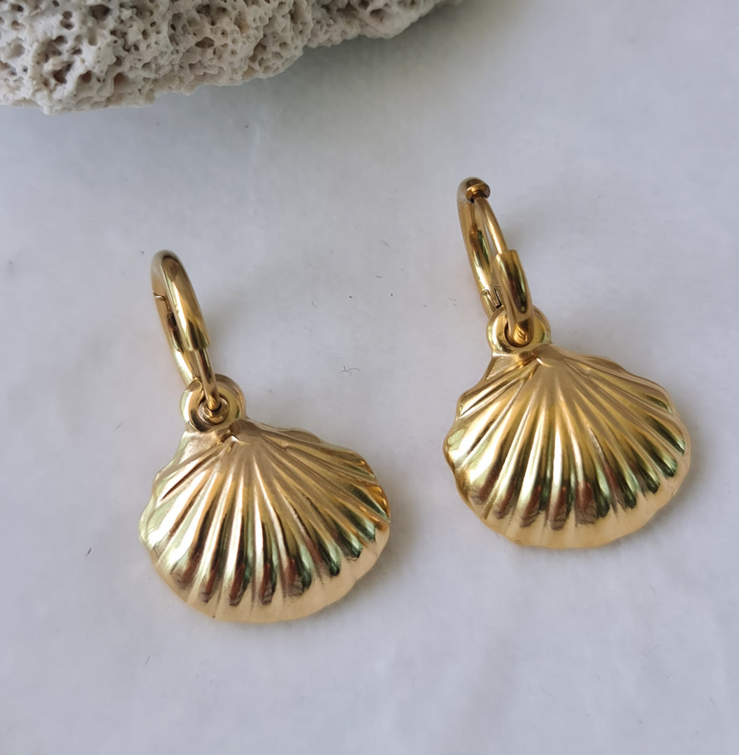 Golden Shell String Earring