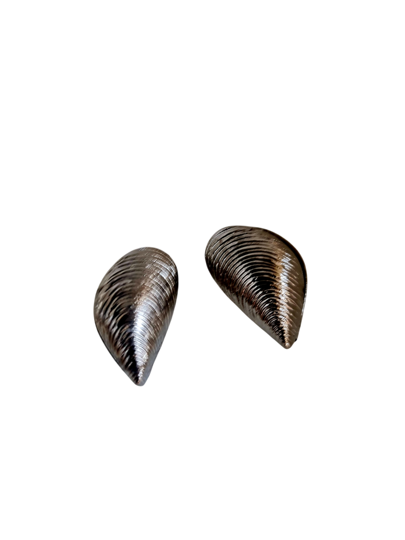 Shells earrings